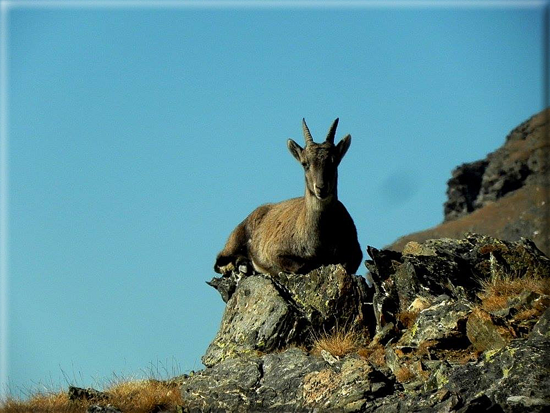 foto Corno del Camoscio